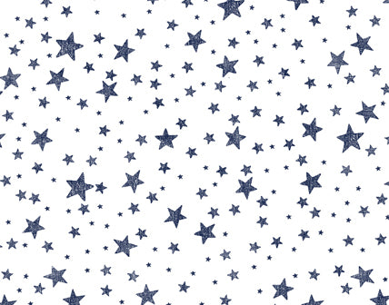 バーレイ×ラルフローレン ミッドナイトスカイ 21.5cmプレート2枚 Ralph